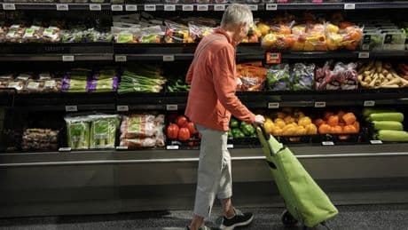 ‘Stretching their dollars’: New study says Canadians struggle with food prices