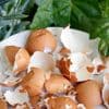 Met eierschalen verander je de kleur van je hortensia: wat kan je er nog allemaal mee doen in de tuin?