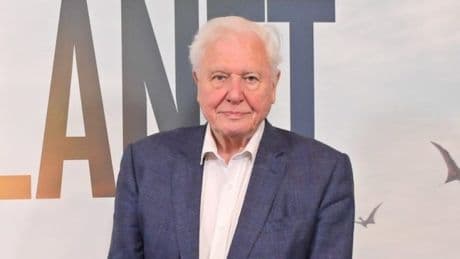 Sir David Attenborough almost killed by faulty scuba diving equipment