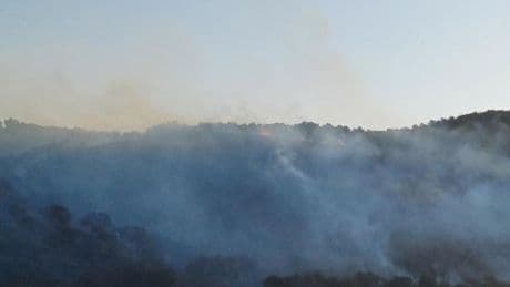 Hatay'da korkutan orman yangını