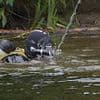 Police divers called in search for schoolboy, 13, who vanished near river - after frantic overnight bid to find him