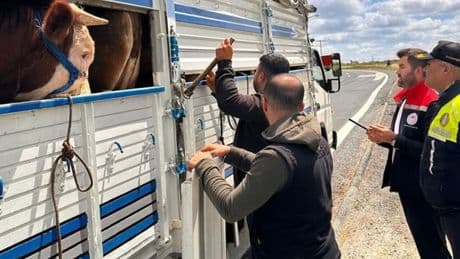 Tekirdağ'a kaçak sevkiyata 105 bin lira ceza