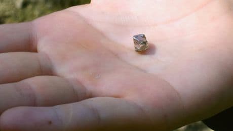 2,3-Karat-Diamant - Micherre (31) macht Funkel-Fund fürs Leben