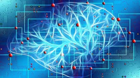 Et si l'IA rendait les médecins moins bons ? Une étude polonaise remet en cause les atouts de l'intelligence artificielle pour détecter les cancers