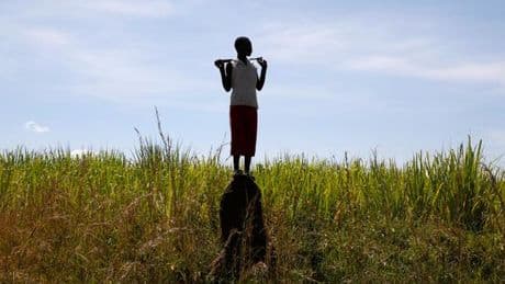 Au Kenya, la communauté luo et ses traditions à l’épreuve de l’urbanisation