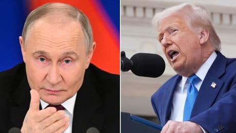 Verliert der US-Präsident die Geduld?: Putin ignoriert Trumps Friedensversuche - Europa könnte bald allein dastehen