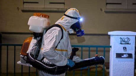 Maladies transmises par des moustiques : l’Europe enregistre un nombre de cas record