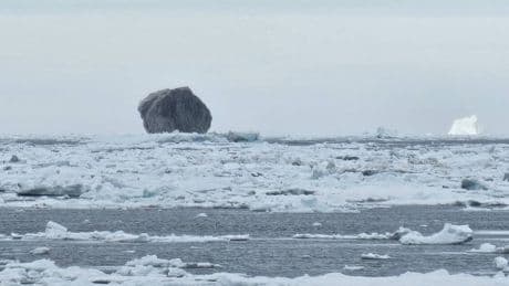Sale a pescar y se encuentra con el iceberg más raro del mundo: "No solo es que sea negro"