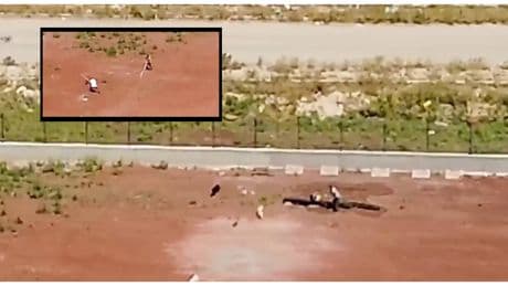 Kars barınağında vahşet: Görevliler, köpekleri sopayla öldüresiye dövdü, kaldırıp yere fırlattı!
