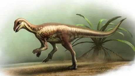 Kaum größer als ein Hund - Forscher entdecken neue Dino-Art