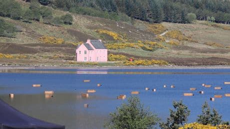 100 coffins appear floating in Scottish loch - here is why