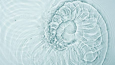 « L’ADN fantôme, quand l’invisible laisse des traces » : le naturaliste et la technologie