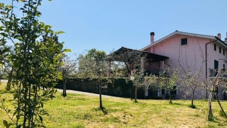 My Italian farmhouse dreams were shattered by suspected Roman ruins in the basement