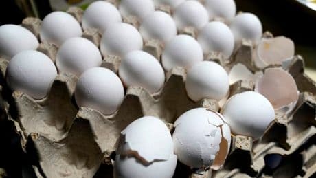 Egg recall over salmonella warning spans across nine states