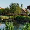 Erfrischende Ausflugsziele: Das sind die fünf besten Brauereien in Brandenburg