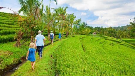 Vous partez à Bali ? Ce que vous devez absolument savoir avant le départ