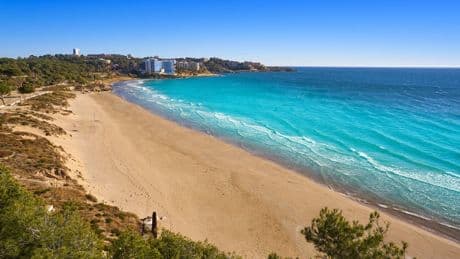 Horror as British brothers, 11 and 13, drown off Spanish beach after facing difficulty when swimming in sea