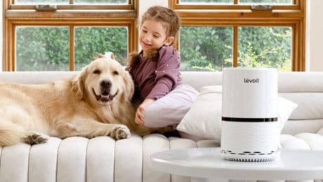 Purificadores de aire para casa: Guía completa para un hogar saludable y limpio