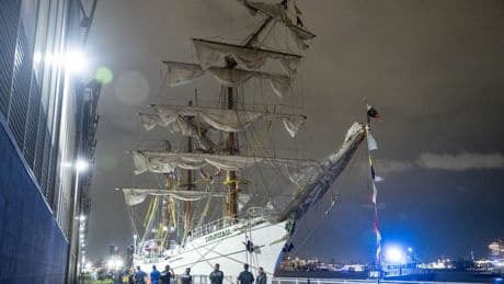 What caused Mexican Navy ship to crash into Brooklyn Bridge? Everything we know after two people killed
