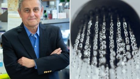 Stimulating your vagus nerve could help you live longer. A top scientist shares 3 easy things he does to activate his.