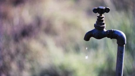 Polluants éternels : Trump affaiblit la réglementation sur les PFAS