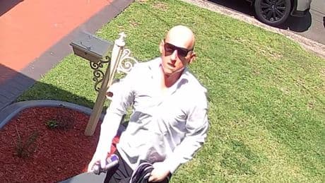 Pitbull-Kopie auf Beutezug - Double-Dieb täuscht Polizei mit Star-Maske