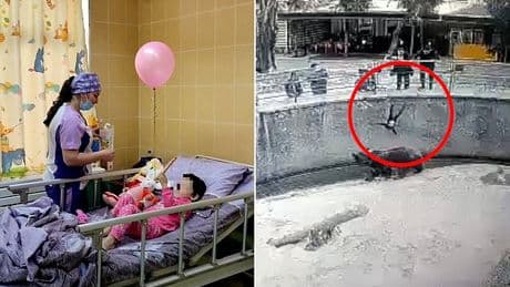 Mother deemed 'safe' despite dropping young daughter into a bear's enclosure 'stabs the child to death'