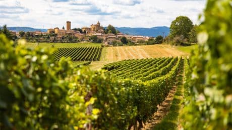 Notre sélection de beaujolais blancs vraiment exceptionnels: «Désormais, je préfère en acheter 12 plutôt qu’un grand Bourgogne»