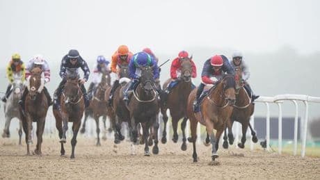 Saturday racing tips with 11-1 winner of the Northumberland Plate