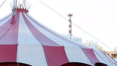 Circus performer injured in front of children during 'Globe of Death' stunt