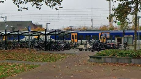 Treinen op station Deurne vertraagd door kangoeroe op het spoor