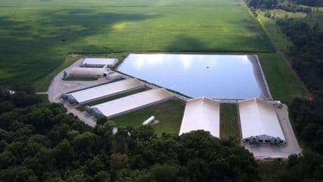 Millions Of Hogs,Millions With No Clean Water, How The EPA Failed Iowa