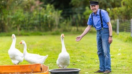 Behörde will Gänse-Opa Tiere wegnehmen - Eine Gans miese Nummer