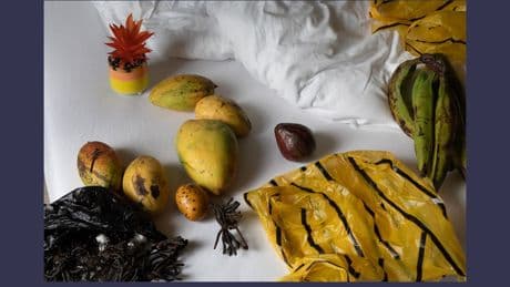 Fotografie: Das Kunstereignis des Sommers