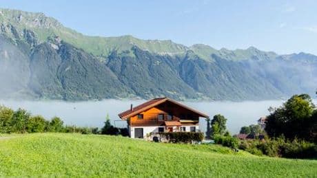 Housesitterin über Gratis-Ferien: »In Bayern hat die Nachbarin jeden Schritt von mir beobachtet«