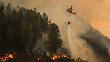 Custodiar el territorio, la mejor defensa contra el fuego