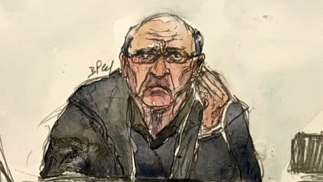 Procès Le Scouarnec: l'Ordre national des médecins admet des "dysfonctionnements"
