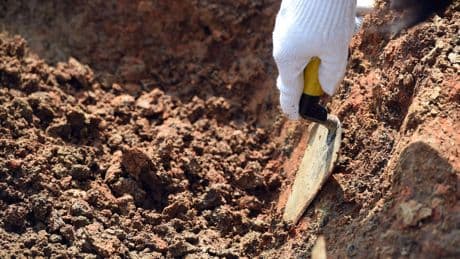 Archeologen in Georgië hebben een menselijk kaakbeen van 1,8 miljoen jaar oud aangetroffen
