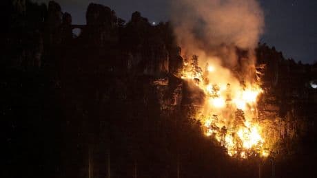 Sie lösten verheerenden Waldbrand aus - Milde Strafen für Shisha-Brandstifter von Bastei