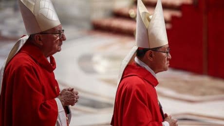 Vor dem Konklave: Missbrauchsopfer erheben Vorwürfe gegen Parolin und Tagle