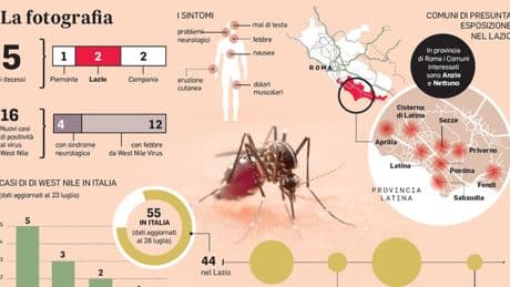 West Nile, altri 3 morti: colpita anche la Campania. Nel Lazio sedici nuovi contagiati, la situazione