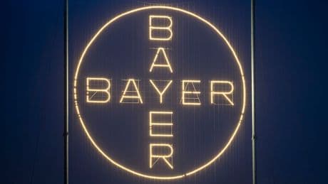 500 Jobs betroffen! - Bayer will Standort Frankfurt schließen