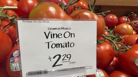 Amid Cinco de Mayo celebrations, a tax on Mexican tomatoes looms