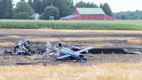Police credit passing motorists for saving pilot from fiery helicopter crash in London, Ont.