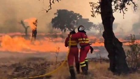 Spanien: Waldbrände zwingen Menschen, ihre Häuser zu verlassen