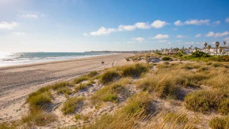 Rodrigo, un turista en las playas de Cádiz: "Es la mejor de España, es tan grande que nadie te molesta"