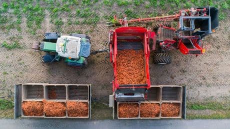 Lebensmittel: Bio-Landwirtschaft in Niedersachsen wächst