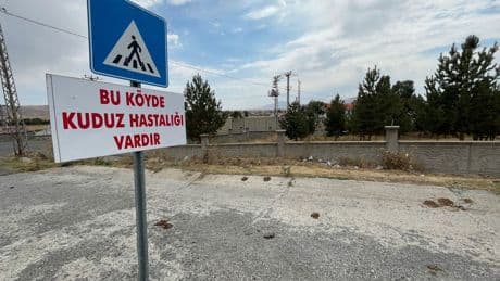 Kars’ta kuduz alarmı: Dağpınar karantinaya alındı