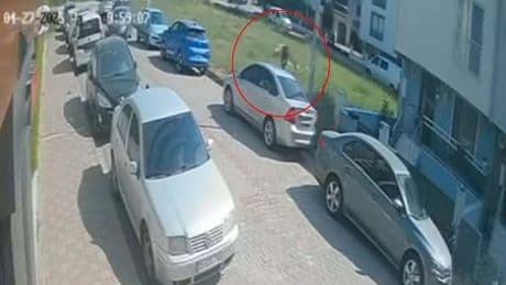 Sokak köpeklerinden kaçmak isterken başını otomobile çarpıp yaralandı