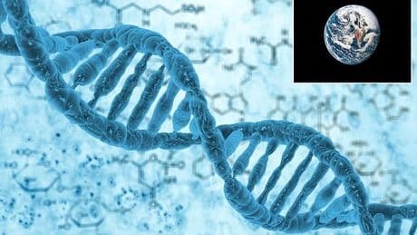 Scientist claims life on Earth was not random... but engineered